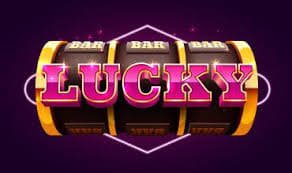 Bangladesh users browsing poker education and table guidance on 666zz